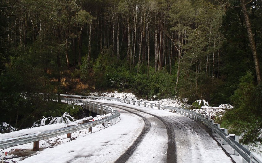 Baw Baw National Park Bridges